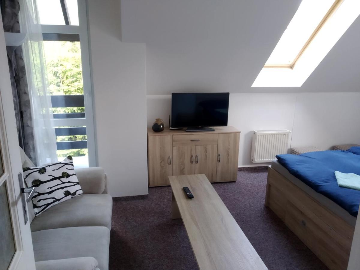 Apartman Violeta Harrachov Exterior photo